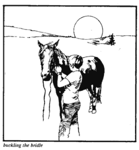 Walking Plows: Plowing with Horses, Mules and Oxen Image